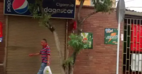 CIGARRERIA MADAGASCAR BOGOTÁ CIGARRERIA MADAGASCAR BOGOTÁ
